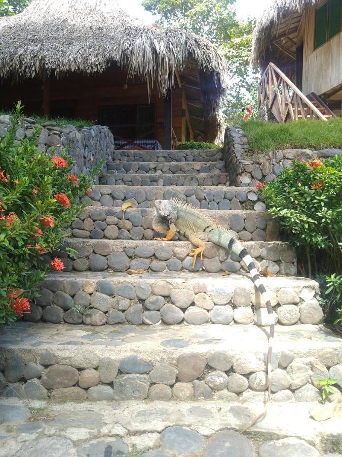 Ecocabanas Diosa Jaguar Tayrona La Esmeralda  Екстериор снимка