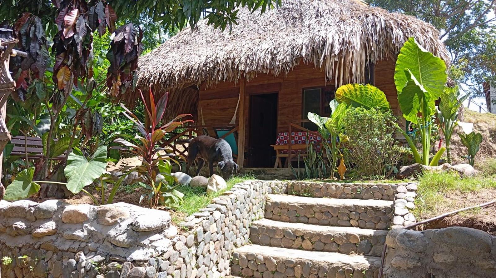 Ecocabanas Diosa Jaguar Tayrona La Esmeralda  Екстериор снимка
