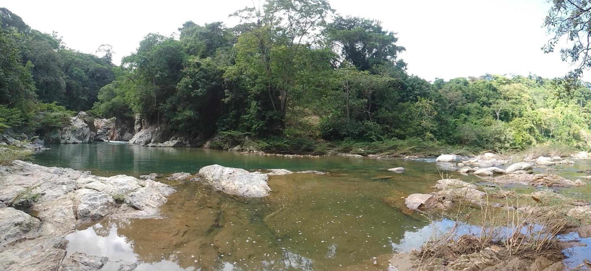 Ecocabanas Diosa Jaguar Tayrona La Esmeralda  Екстериор снимка