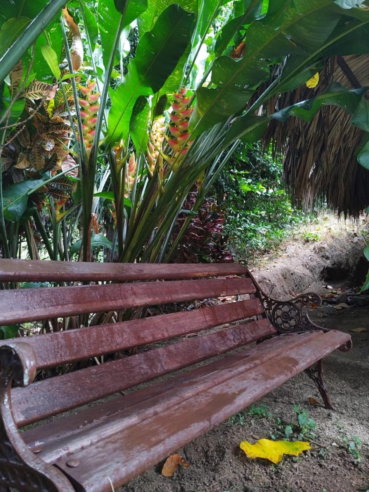 Ecocabanas Diosa Jaguar Tayrona La Esmeralda  Стая снимка