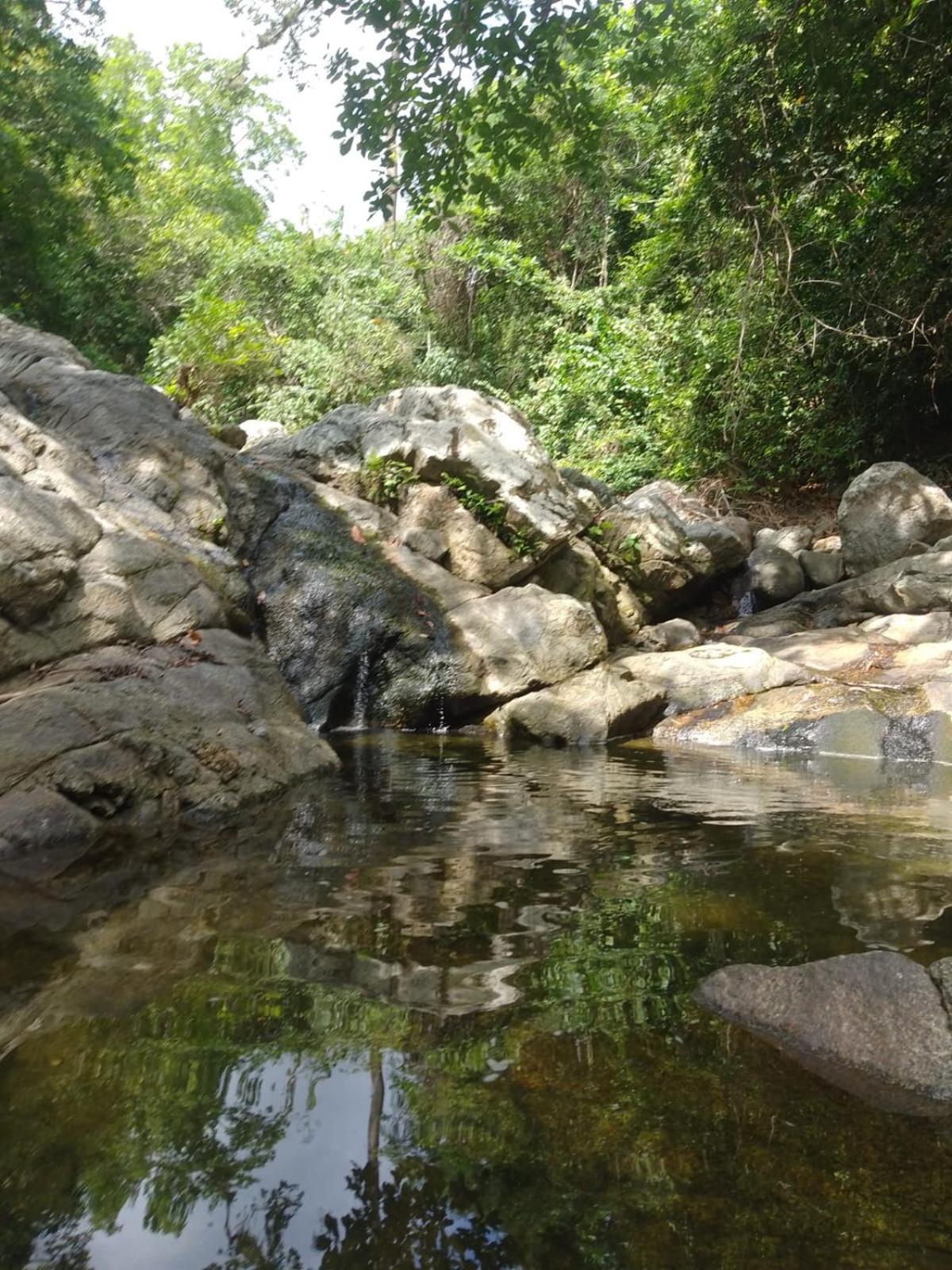 Ecocabanas Diosa Jaguar Tayrona La Esmeralda  Екстериор снимка