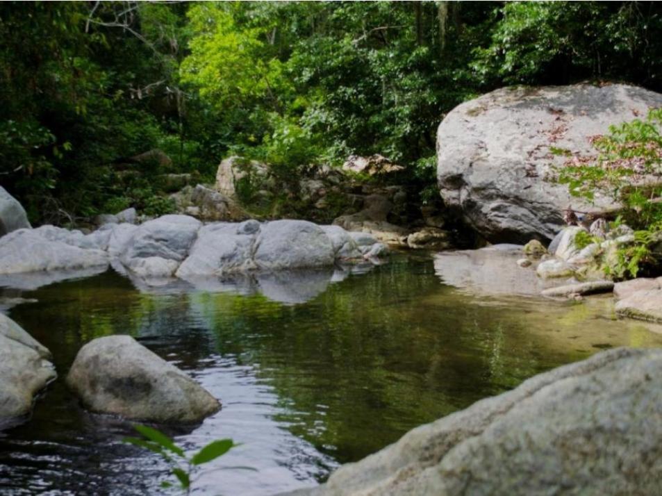 Ecocabanas Diosa Jaguar Tayrona La Esmeralda  Екстериор снимка