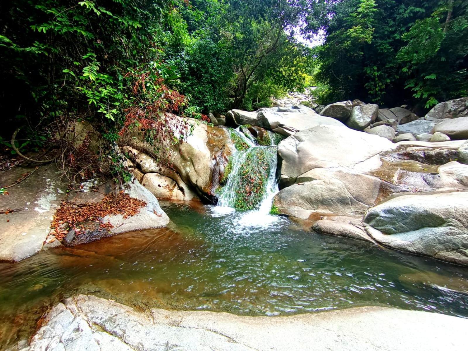 Ecocabanas Diosa Jaguar Tayrona La Esmeralda  Екстериор снимка